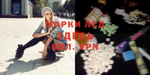 PSILOCYBIN Алзамай