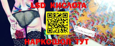 стаф Можга
