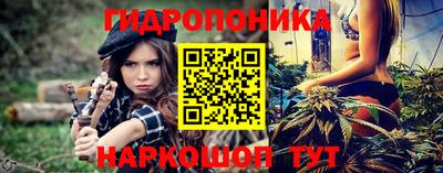 стаф Можга
