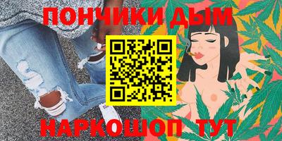 стаф Можга