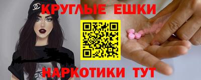 стаф Можга