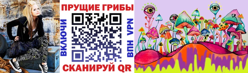 Галлюциногенные грибы Psilocybe  сколько стоит  Зеленокумск 