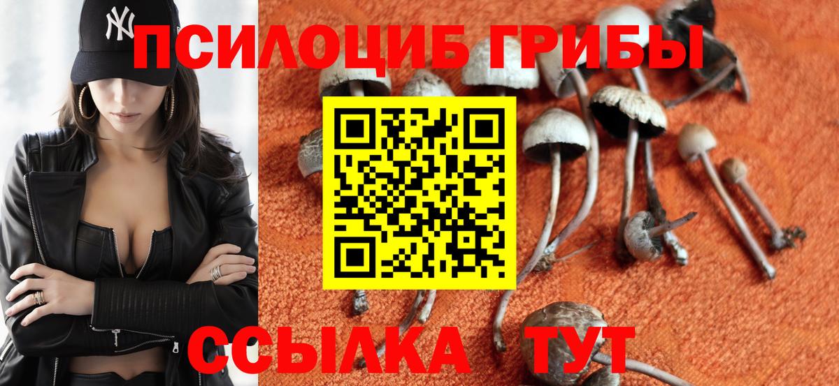 Псилоцибиновые грибы Psilocybe Зеленокумск