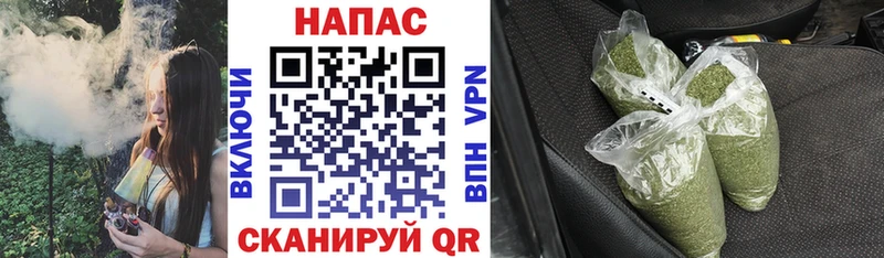 Бошки Шишки план  где найти наркотики  Зеленокумск 